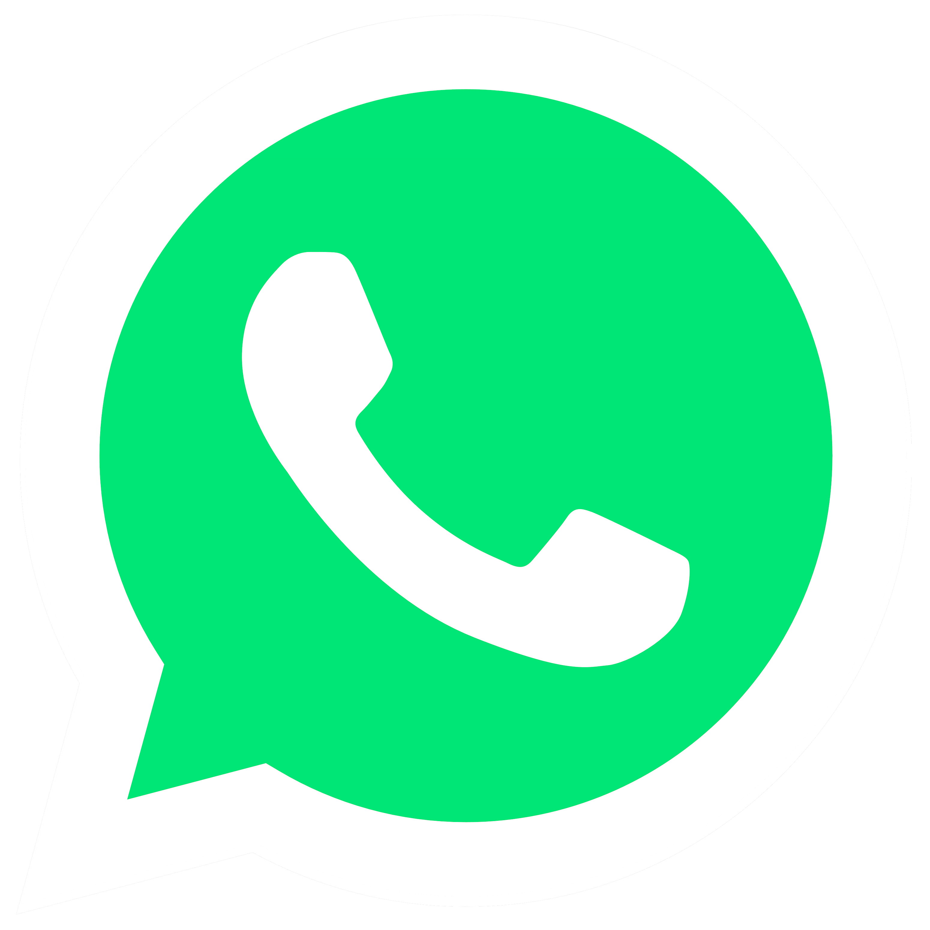WhatsApp Logo Icon 